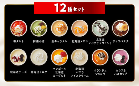 パフェアイス 12個セット_B017-1443