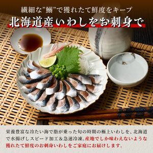 北海道産「刺身いわし」【20枚×2パック（20尾分）】_K005-1519