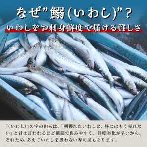 北海道産「刺身いわし」【20枚×2パック（20尾分）】_K005-1519