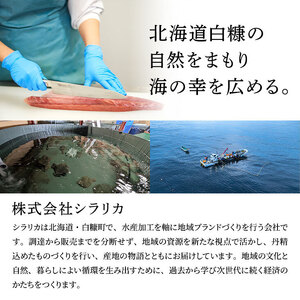北海道産 炙りしめ鯖 2枚 （お試し小サイズ） ふるさと納税 魚 北海道 〆鯖 しめさば シメサバ 〆サバ ふるさと 鯖 小分け おつまみ 酒の肴 日本酒 酒 魚介 海鮮 冷凍 国産 人気 年末年始 白糠＿A005-1621