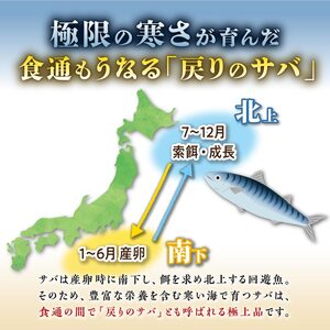 北海道産 しめ鯖 2枚 （お試し小サイズ） 料亭で味わうまるで「生」のようなしめ鯖をご自宅で。ふるさと納税 北海道 魚 海鮮 しめ鯖 〆鯖 シメサバ しめさば ふるさと納税 魚 北海道 〆鯖 しめさば シメサバ 〆サバ ふるさと 鯖 小分け おつまみ 酒の肴 日本酒 酒 魚介 海鮮 冷凍 国産 人気 訳あり 白糠町_A005-1416
