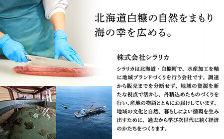 漬け丼 の素 北海道 白糠町産 天然 ぶり 14袋  漬け丼 ブリ ハマチ ふるさと はまち 刺身 お刺身 海鮮丼 北海道産 漬け 海鮮 お刺身 小分け 簡単 お手軽 buri hamachi_A018-1738