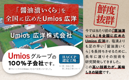【定期便】 高評価 4.81 2回お届け いくら醤油漬 (鮭卵) 定期便 400g (200g×2) ×2回 ふるさと納税 海鮮 いくら イクラ 鮭いくら 鮭イクラ 醤油漬け 鮭 魚卵 魚 魚介 小分け 人気 いくらの町 北海道 白糠町_K044-1680