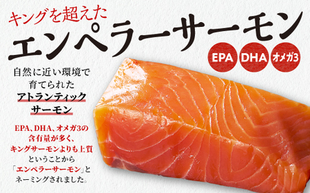 高評価★4.76 ふるさと納税 魚 【総合1位獲得の選べる サーモン 定期便 2回お届け】 エンペラーサーモン 900g 小分け 海鮮 鮭 刺身 さけ サケ ふるさと 人気 ランキング 北海道 白糠町_T030-1204