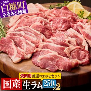 焼肉用ラム肉スライス【250g×2パック、オリジナルスパイス10g】_I012-0442