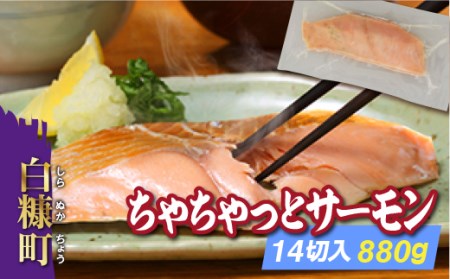 ちゃちゃっとサーモン【14切入(880g)】_T011-0498