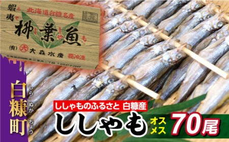 しらぬか産ししゃも オスメス70尾 I040 0176 北海道白糠町 ふるさと納税サイト ふるなび