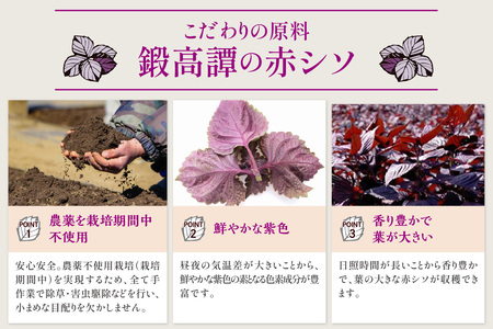 赤鍛高譚パック［900ml］【8本セット】_I023-0599