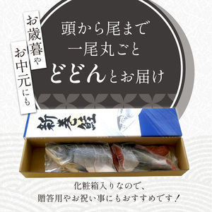 鮭 切り身 4分割 1.7kg 大手百貨店も扱う「新巻鮭姿切身」 化粧箱 入り 贈答用 秋鮭 を中心に オスの上質な銀毛のみ 厳選 北海道 白糠町 人気 ランキング _T012-0269-2412