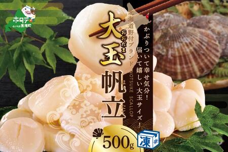 北海道 野付産 冷凍ホタテ 貝柱 大玉（Sサイズ）ホタテ500ｇ（ ほたて ホタテ 帆立 貝柱 北海道 野付 人気 ふるさと納税 ）