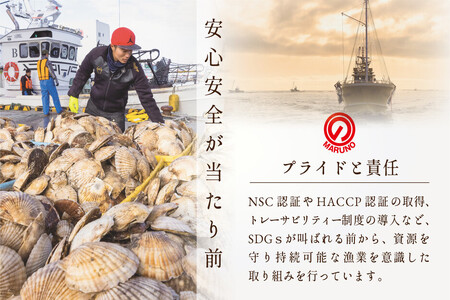 北海道 野付産 冷凍ホタテ 貝柱 大玉（Sサイズ）ホタテ500ｇ（ ほたて ホタテ 帆立 貝柱 北海道 野付 人気 ふるさと納税 ）