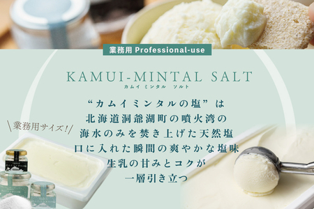 【THE ICE】 KAMUI-MINTAL SALT（カムイ・ミンタルソルト）ジェラート 2リットル CJ0000214