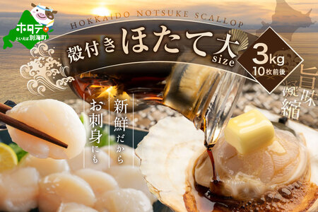 【先行予約】北海道野付産活ホタテ 3kg(10枚前後)【KO0000001】