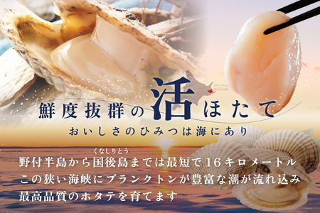 【先行予約】北海道野付産活ホタテ 3kg(10枚前後)【KO0000001】
