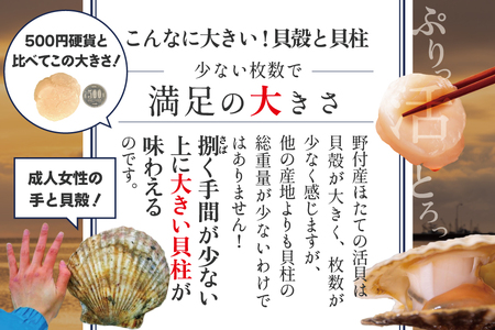 【先行予約】北海道野付産活ホタテ 3kg(10枚前後)【KO0000001】