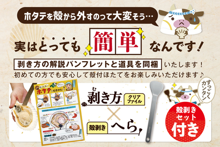 【先行予約】北海道野付産活ホタテ 3kg(10枚前後)【KO0000001】