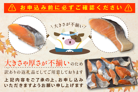 【訳あり】「秋鮭の切り身（無塩）」1.4kg 【BT000SF01】（ 鮭 鮭切身 鮭切り身 鮭の切り身 訳ありサケ 訳あり鮭 訳あり秋鮭 訳ありシャケ 訳あり）