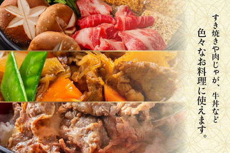 北海道 別海町 別海和牛 ロース 不揃い 切り落とし 500g(250g×2パック)【FF0000026】