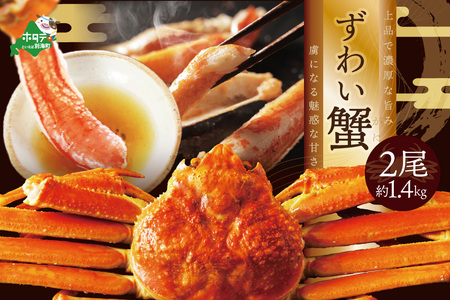 訳ありズワイ蟹 2尾（計1.4kg）【SS000HZ01】訳あり ズワイガニ 訳あり 蟹 訳あり 訳あり訳あり訳あり 