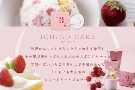 【隔月6回定期便】【THE ICE】5種食べ比べ 5個セット【CJB060206】