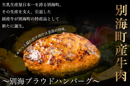 別海プラウド ハンバーグ2種 1.2kg(150g×各4個) ビーフハンバーグ ビーフ&ポーク【KH0000006】訳あり訳あり訳あり訳あり訳あり訳あり訳あり