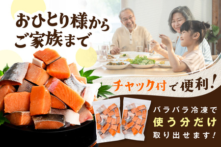 北海道産 カット秋鮭 約 1.2kg (鮭鮭鮭鮭鮭鮭鮭