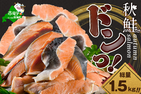 【訳あり】秋鮭ドンっ！無塩 秋鮭 切り身 1.5kg【KN000PB06】北海道
