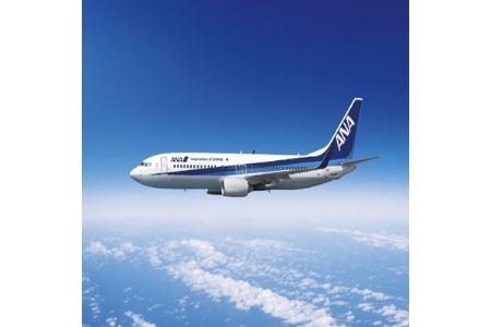 羽田~中標津 ANA往復航空券+別海町宿泊1泊 50000円分【1200579】