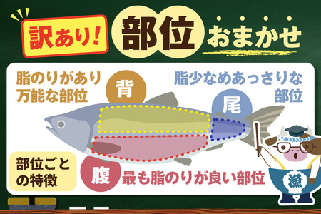 アトランティック サーモン 刺身用 800g(200g前後×4)【SS0000HX0】