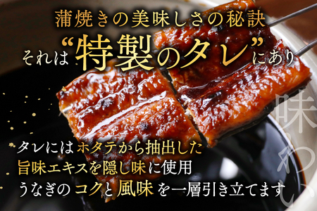 (6月発送)国産 大 特上うなぎ 2尾 合計 320g 以上