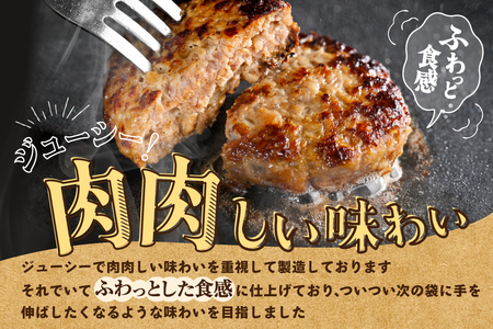  北海道 別海町産 別海牛入り合挽ハンバーグ（80g×12個）×2箱【NB002JB00】