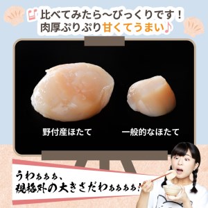 驚きの大きさ！LL～Lサイズ！天然ホタテたっぷり1kg！BS0000004（ ほたて ホタテ 帆立 貝柱 ホタテ貝柱 北海道 大粒 野付 別海 人気 ふるさと納税 ）