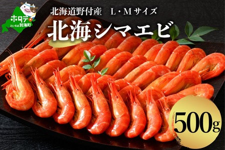 北海道 野付産 北海しまえびL・Mサイズ 計500g（北海道 野付 北海シマエビ しまえび 人気 ふるさと納税 ）