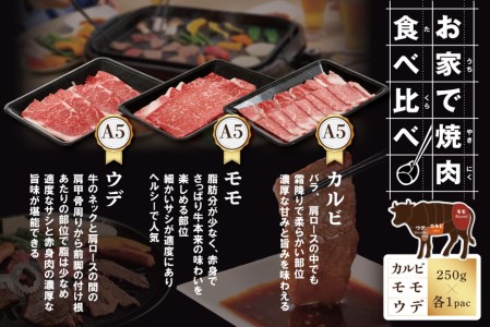 焼肉！黒毛和牛 750g 焼肉用（カルビ・ウデ・モモセット 250g×各1P