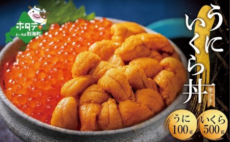 北海道 うに・いくらセット 【 塩水ウニ :100g / いくら醤油漬 : 500g 】