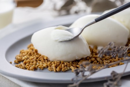 【毎月定期便】 THE ICE エキストラミルクアイス 計64個 8個×8ヵ月定期便 アイス 北海道 別海町