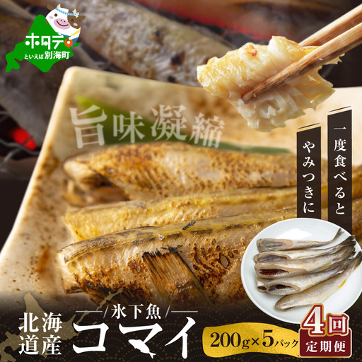 【定期便】北海道産 干しこまい  1kg[ 200g × 5パック ]×4ヵ月【全4回】こまい  別海町