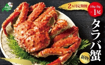 【定期便】数量限定の新物!活き抜群 タラバガニ 浜ゆで 急速 冷凍 旨味凝縮( 1.6kg~2kg × 2ヵ月配送)