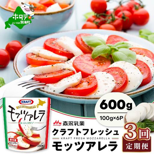 【定期便】森永乳業 モッツァレラチーズ 計600g(100g×6P)×3ヵ月【全3回】チーズ 北海道