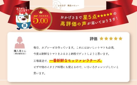 【定期便】森永乳業 モッツァレラチーズ 600g(100g×6P) × 6ヵ月【全6回】  （ チーズ モッツァレラ 北海道 別海町 人気 ふるさと納税 ）