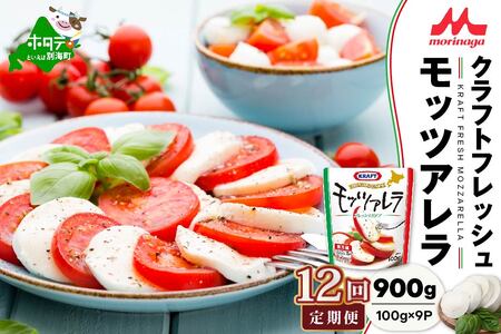 【定期便】森永乳業 モッツァレラチーズ 計900g(100g×9P)×12ヵ月【全12回】チーズ 北海道 別海町