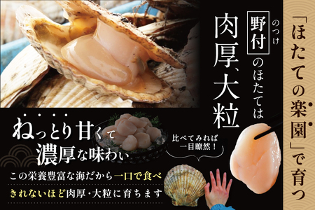 北海道 野付産  冷凍ホタテ 貝柱 中粒（3Sサイズ）ホタテ 1kg（ ほたて 帆立 ホタテ 貝柱 北海道 野付 別海町 人気 ふるさと納税   ）【NK000NB00】