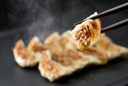 北海道産 旨みたっぷり 野付湾 北海シマエビ餃子 計36個 12個入×3pc 冷凍ギョウザ 海老 野付