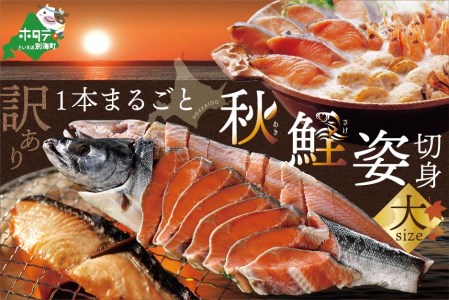 訳あり北海道 産 秋鮭 姿 切り身 大 １本分 GY000SA01（北海道 鮭 さけ 切身 人気 ふるさと納税 ）
