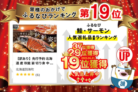 2023年10月以降発送）訳あり 先行予約 北海道 産 秋鮭 姿 切り身 中 １