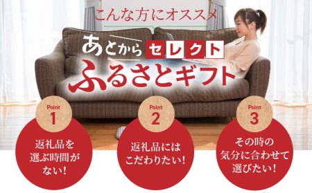 【ゆっくり選べるカタログ】あとからセレクト【ふるさとギフト】寄附1万円相当(カタログカタログカタログカタログカタログカタログ)