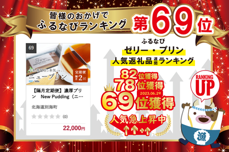 【隔月定期便】濃厚プリン　New Pudding（ニュープディング）（500g×1本）×2回【be152-0931-200-2】 （ ぷりん プリン 濃厚 乳製品 スイーツ 北海道 別海町 人気 ふるさと納税 ）