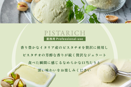 【毎月定期便】 THE ICE 業務用2リットル ピスタリッチ ×12ヵ月定期便 be003-1078-100-12（ あいす アイス アイスクリーム ピスタチオ 業務用 北海道 別海町 人気 ふるさと納税 ）