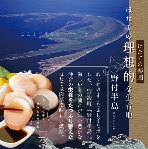 【毎月5ヶ月定期便】北海道 野付産 漁協直送 冷凍ホタテ 貝柱大粒ホタテ500ｇ（ ほたて ホタテ 帆立 貝柱 玉冷 北海道 野付 別海町 人気 ふるさと納税 ）