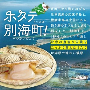 【隔月3回定期便】 北海道 野付産 漁協直送 冷凍ホタテ 貝柱大粒ホタテ500ｇ be018-0055-200-3 （ ほたて ホタテ 帆立 貝柱 玉冷 北海道 野付 別海町 人気 ふるさと納税 ）